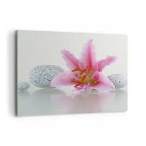 Impression sur toile - Image sur toile - Fleur de lys rose avec des pierres sur un fond clair - 100x70cm - Étude de rose, gris et blanc - Décoration murale moderne pour le salon et la chambre ARTTOR