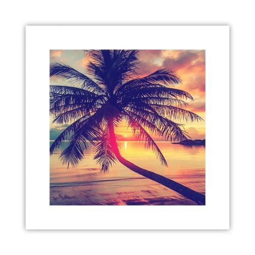 Affiche - Poster - Soirée sous les palmiers - 30x30 cm