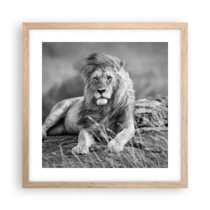 Affiche dans un chêne clair - Poster - Sieste royale - 40x40 cm