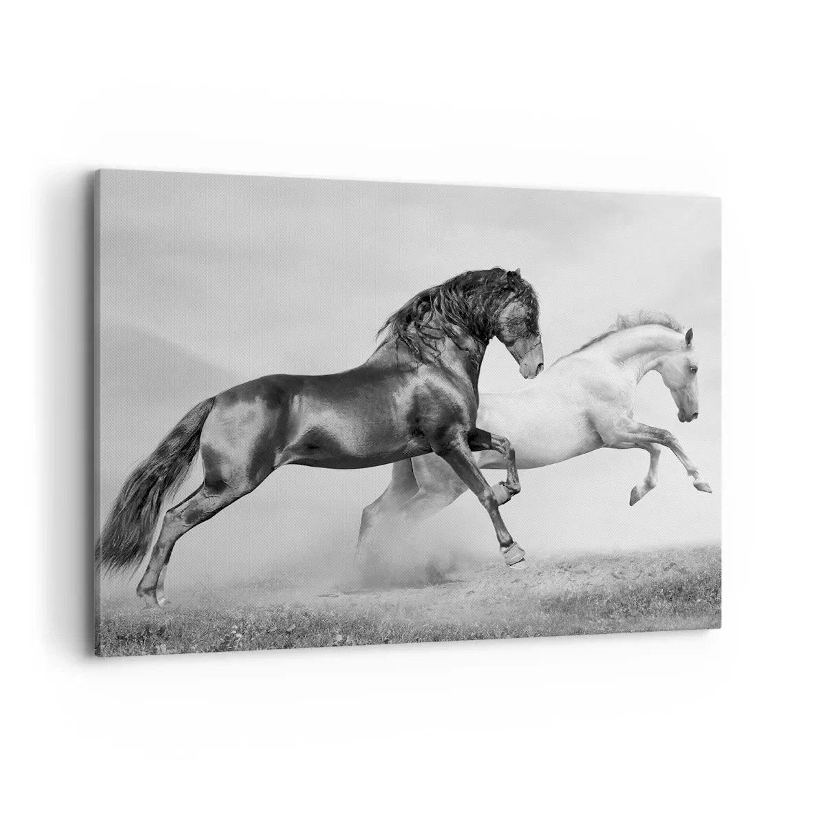 Impression sur toile - Image sur toile - Deux chevaux au galop dans une composition dynamique en noir et blanc - 100x70cm - Anges et démons - Décoration murale moderne pour le salon et la chambre ARTTOR