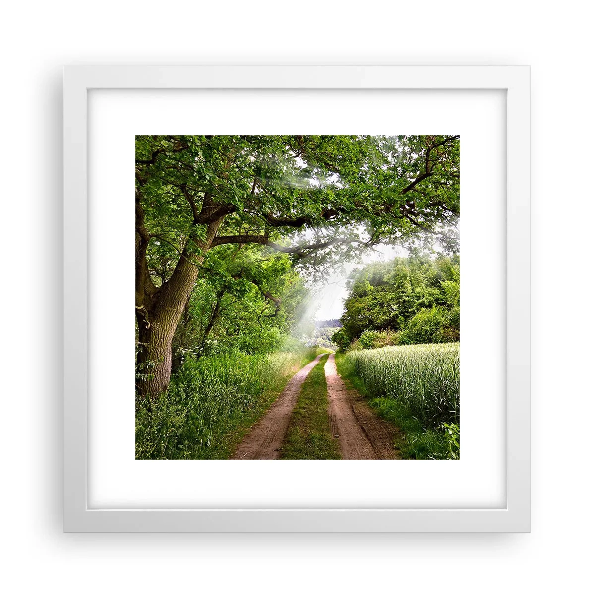 Affiche dans un cadre blanc - Poster - Et in Arcadia ego - 30x30 cm