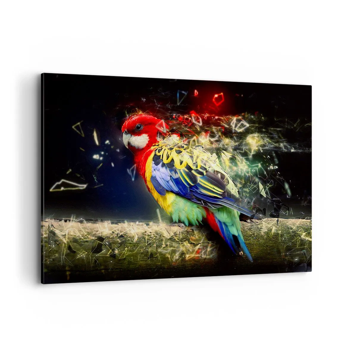 Impression sur toile - Image sur toile - Un perroquet aux couleurs vives sur un fond d'effets de lumière - 120x80cm - Messager d'éclat - Décoration murale moderne pour le salon et la chambre ARTTOR