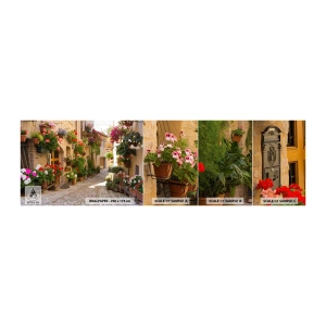 Échantillon de Papier Peint Autocollant Deluxe Sticker - Une inondation de fleurs  - Ville, Italie, Belles rues - 100x30 cm