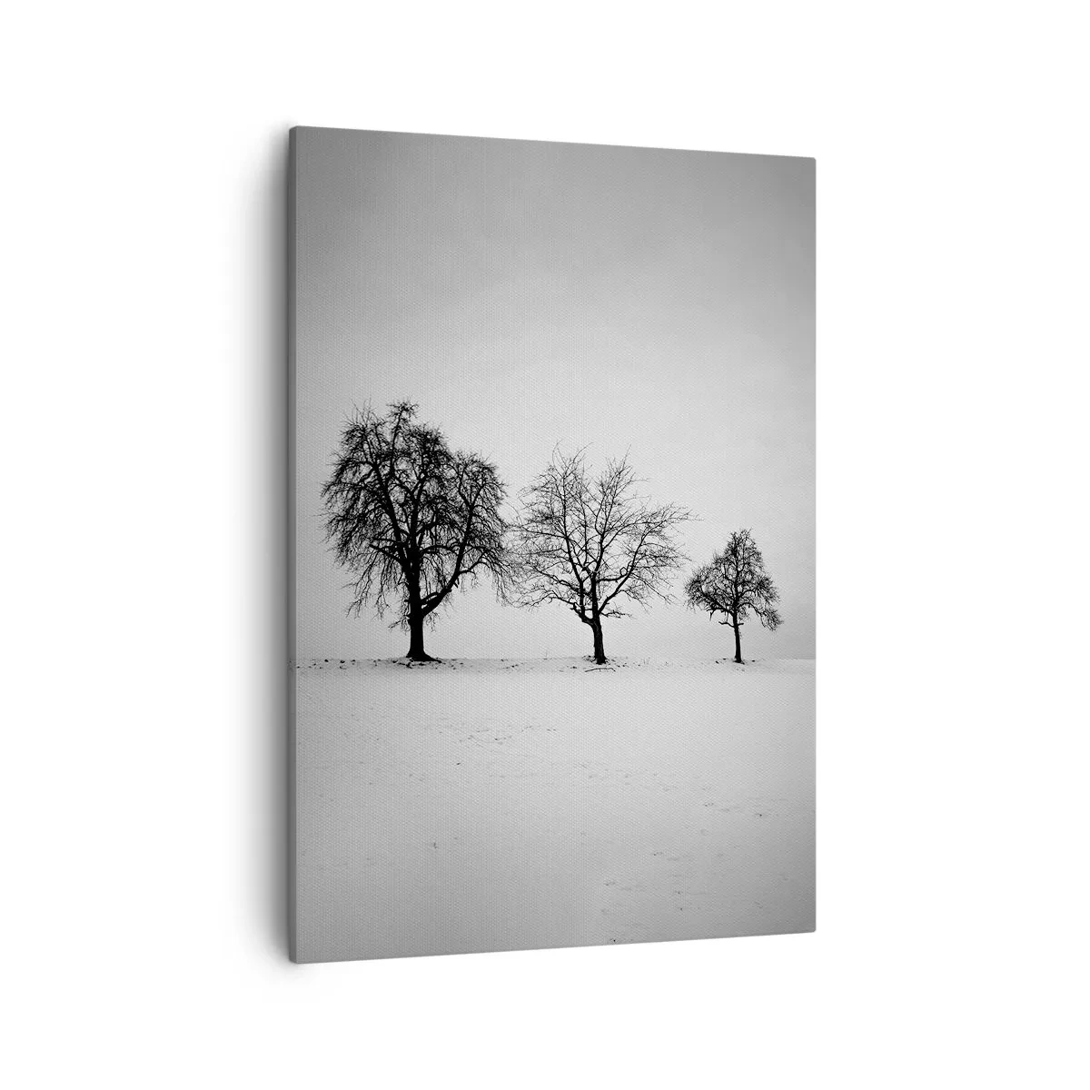 Impression sur toile - Image sur toile - Trois arbres dans un champ enneigé dans un style monochrome - 50x70cm - A quoi rêvent-ils? - Décoration murale moderne pour le salon et la chambre ARTTOR