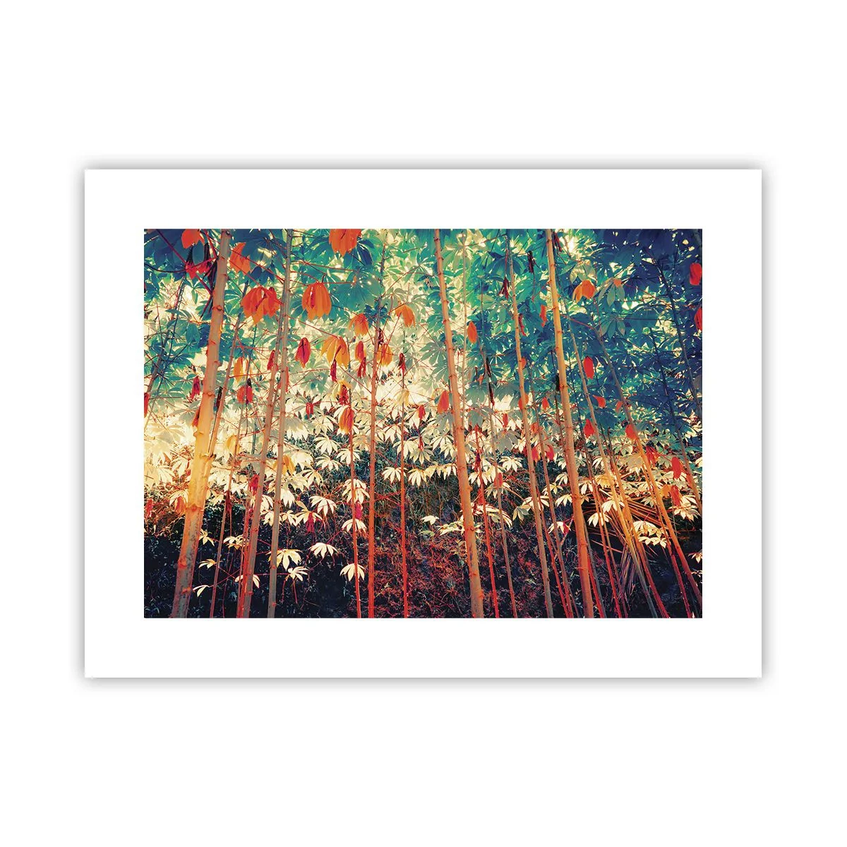 Affiche - Poster - La vie secrète des feuilles - 40x30 cm