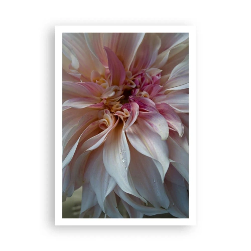 Affiche - Poster - Fraîcheur fleurissante - 70x100 cm