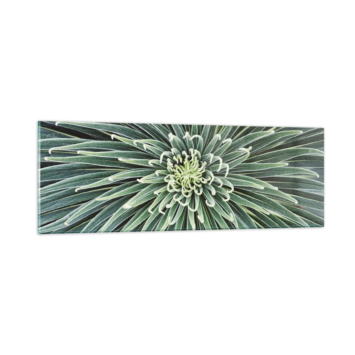 Impression sur verre - Image sur verre - Naissance d'une étoile - 90x30 cm