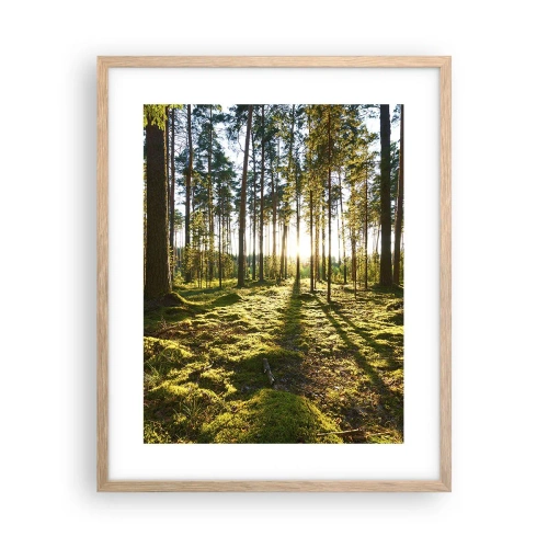 Affiche dans un chêne clair - Poster - … Derrière les sept forêts - 40x50 cm