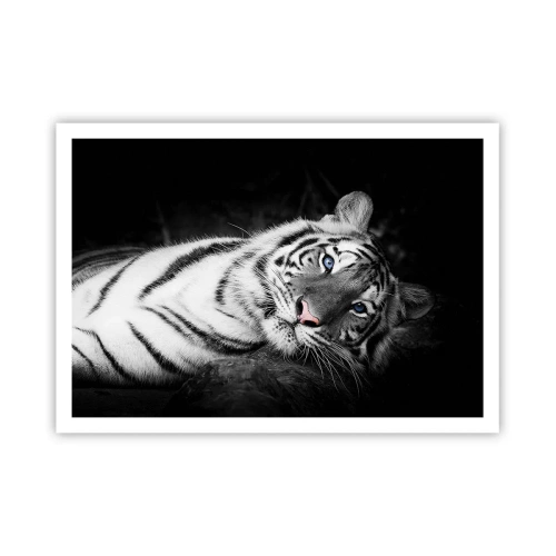 Affiche - Poster - Un tigre blanc rendu artistiquement sur un fond noir - 100x70cm - Sauvagerie et paix - Décoration murale moderne pour le salon et la chambre ARTTOR