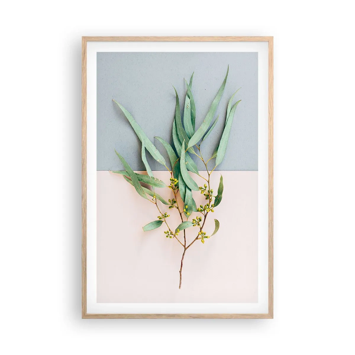 Affiche dans un chêne clair - Poster - Subtilité pastel - 61x91 cm