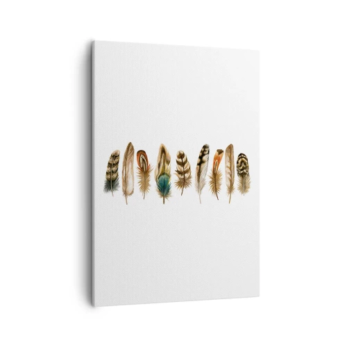 Impression sur toile - Image sur toile - Motif décoratif d'une collection de plumes diverses - 50x70cm - Variation à plumes - Décoration murale moderne pour le salon et la chambre ARTTOR