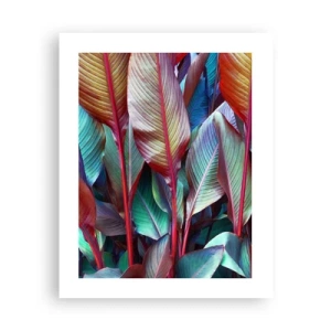 Affiche - Poster - Un fourré coloré - 40x50 cm