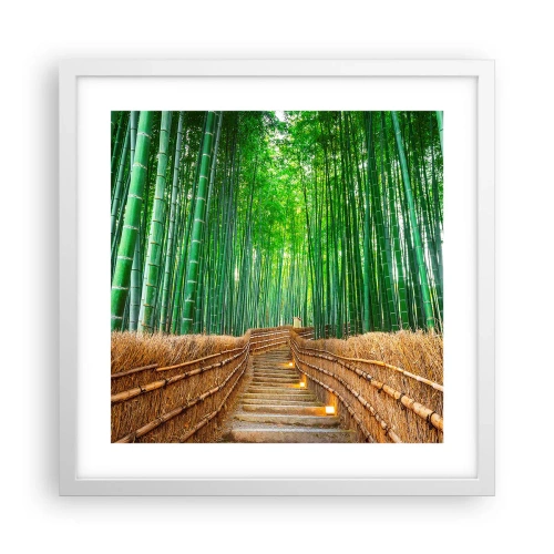Affiche dans un cadre blanc - Poster - L'essence de la nature asiatique - 40x40 cm