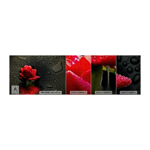 Échantillon de Papier Peint Premium Sand - Rouge et noir - Fleurs, Rose, Eau - 100x30 cm