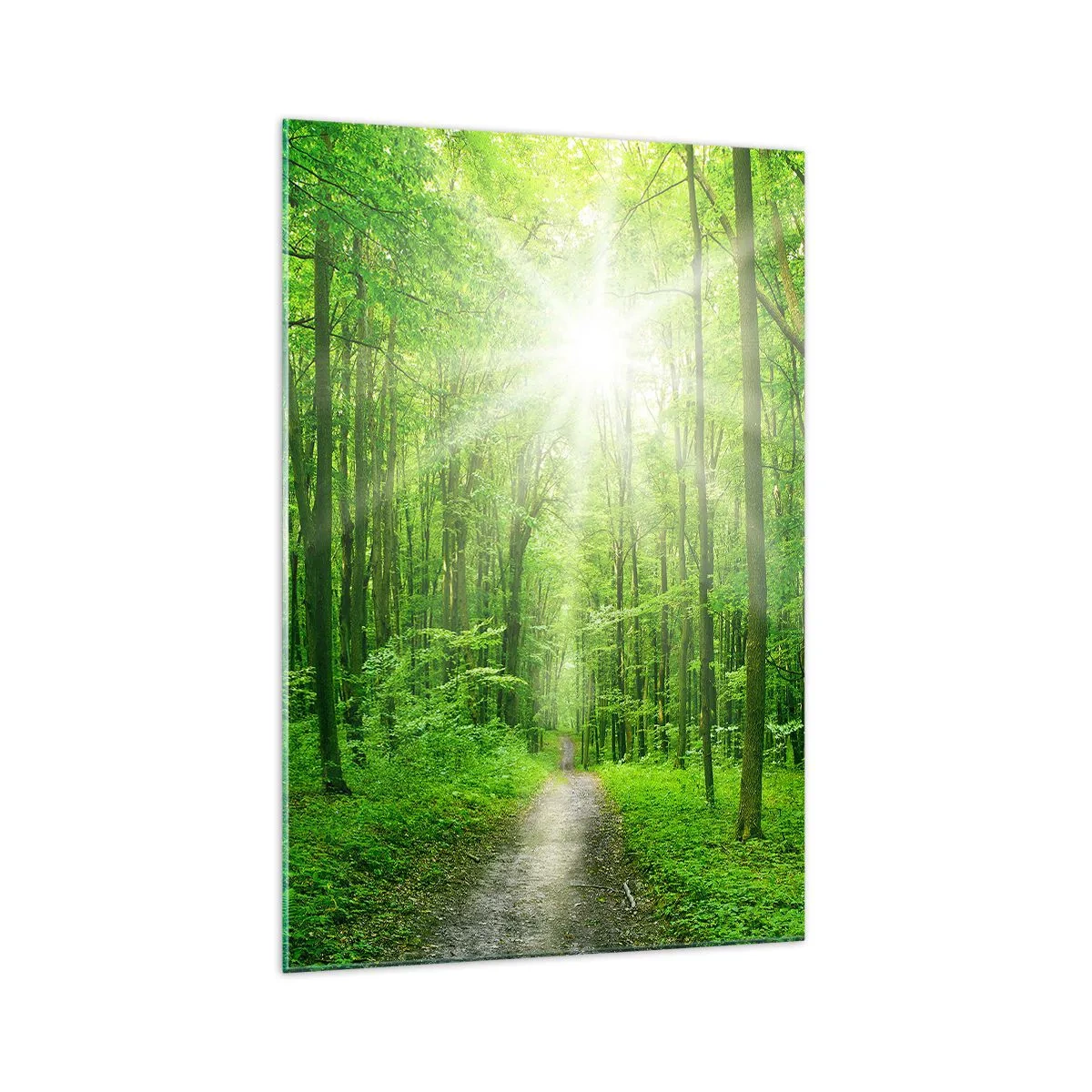 Impression sur verre - Image sur verre - Chemin dans la forêt avec les rayons du soleil - 70x100cm - Cathédrale verte - Décoration murale moderne pour le salon et la chambre ARTTOR