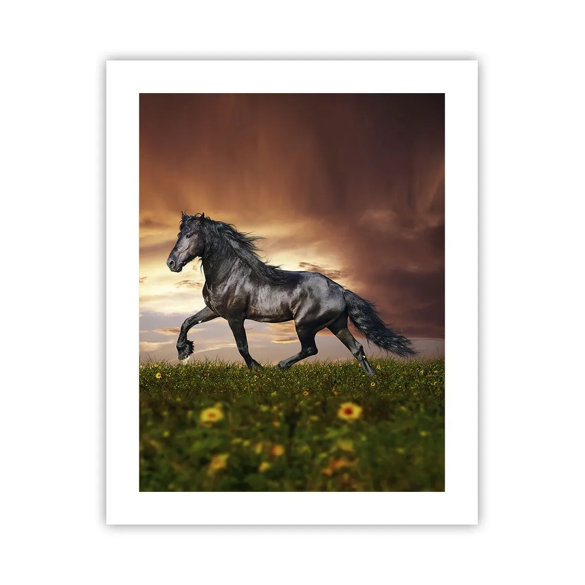 Affiche - Poster - Livres noirs - 40x50 cm