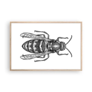 Affiche dans un chêne clair - Poster - D'une planète d'insectes - 91x61 cm