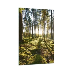 Impression sur verre - Image sur verre - Forêt verte illuminée par la lumière du soleil sur la mousse - 80x120cm - … Derrière les sept forêts - Décoration murale moderne pour le salon et la chambre ARTTOR