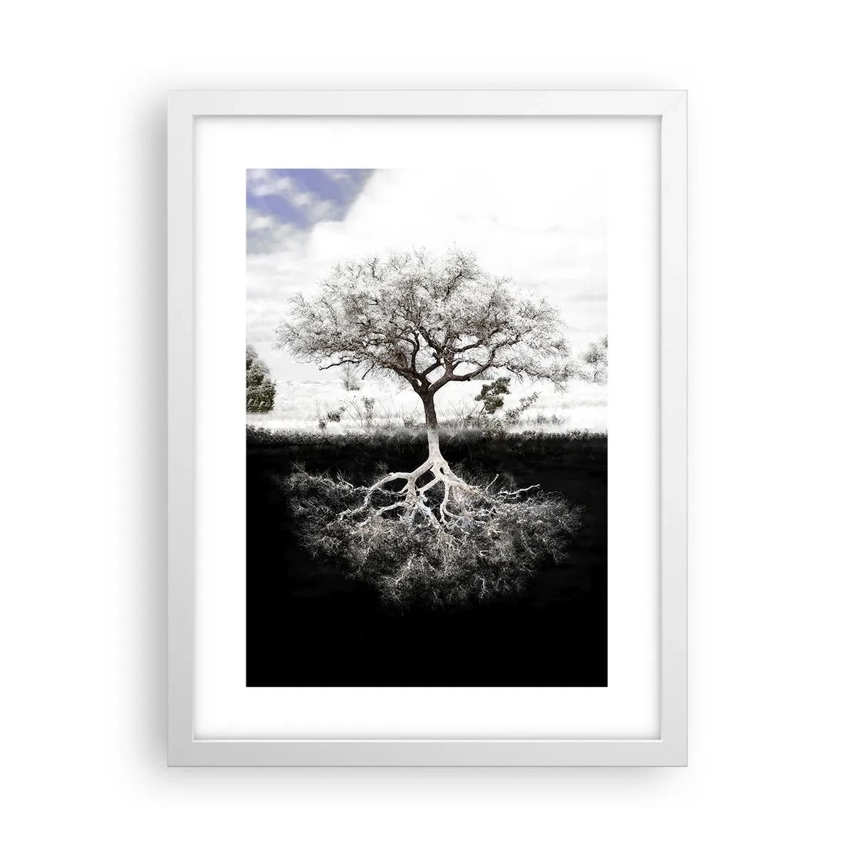 Affiche dans un cadre blanc - Poster - Découvrir la nature du monde - 30x40 cm