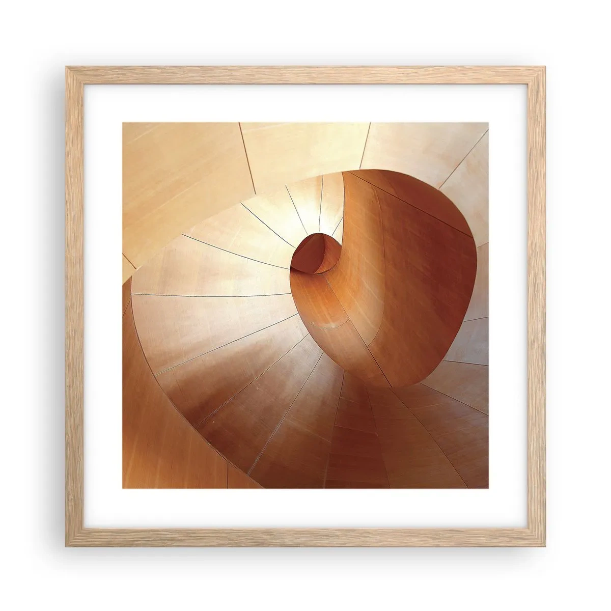Affiche dans un chêne clair - Poster - Serpentin architectural - 40x40 cm