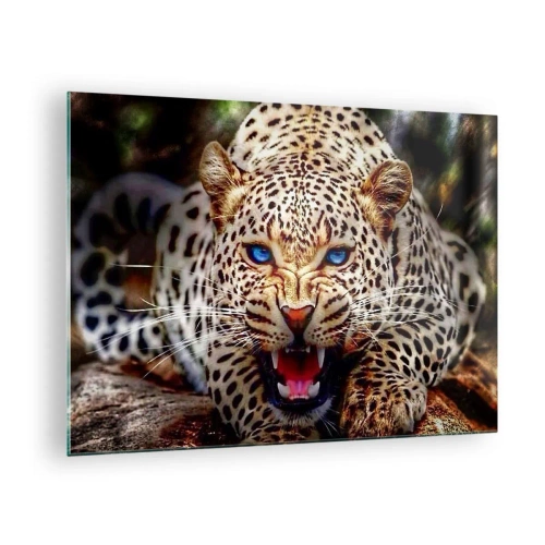 Impression sur verre - Image sur verre - Un léopard féroce aux yeux bleus dans la nature - 70x50cm - La colère de la beauté ne fait pas de mal - Décoration murale moderne pour le salon et la chambre ARTTOR