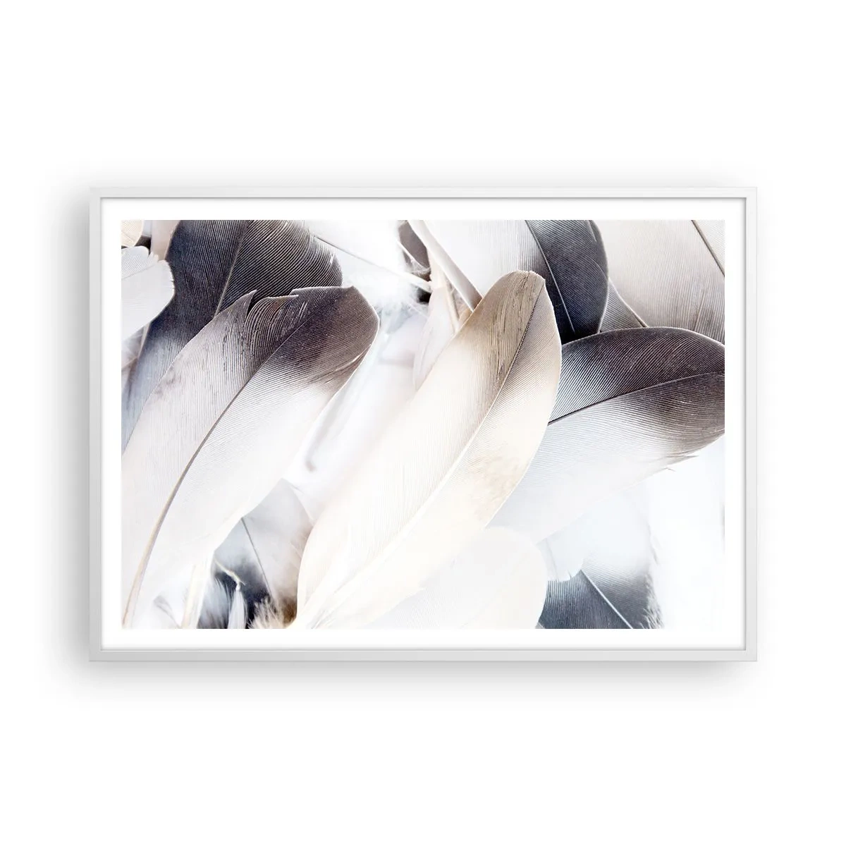 Affiche dans un cadre blanc - Poster - Presque angélique - 100x70 cm