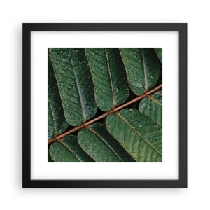 Affiche dans un cadre noir - Poster - Au rythme de la verdure - 30x30 cm