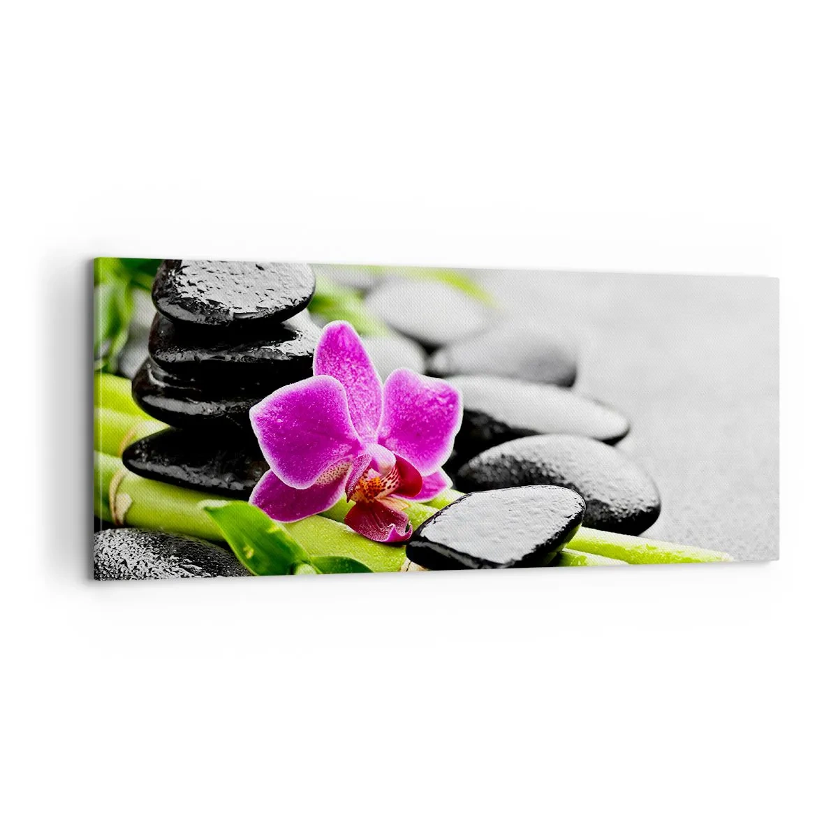 Impression sur toile - Image sur toile - Dans un équilibre de calme - 100x40 cm
