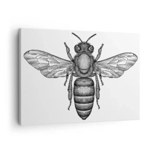 Impression sur toile - Image sur toile - Un motif d'abeille de dessin animé sur fond blanc dans un style minimaliste. - 70x50cm - Portrait d'insecte - Décoration murale moderne pour le salon et la chambre ARTTOR