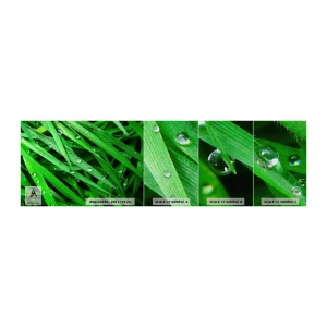 Échantillon de Papier Peint Premium Sand - Jouez dans le vert - Nature, L'herbe verte, Jardin - 100x30 cm