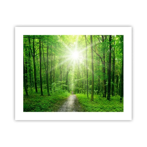 Affiche - Poster - Cathédrale verte - 50x40 cm