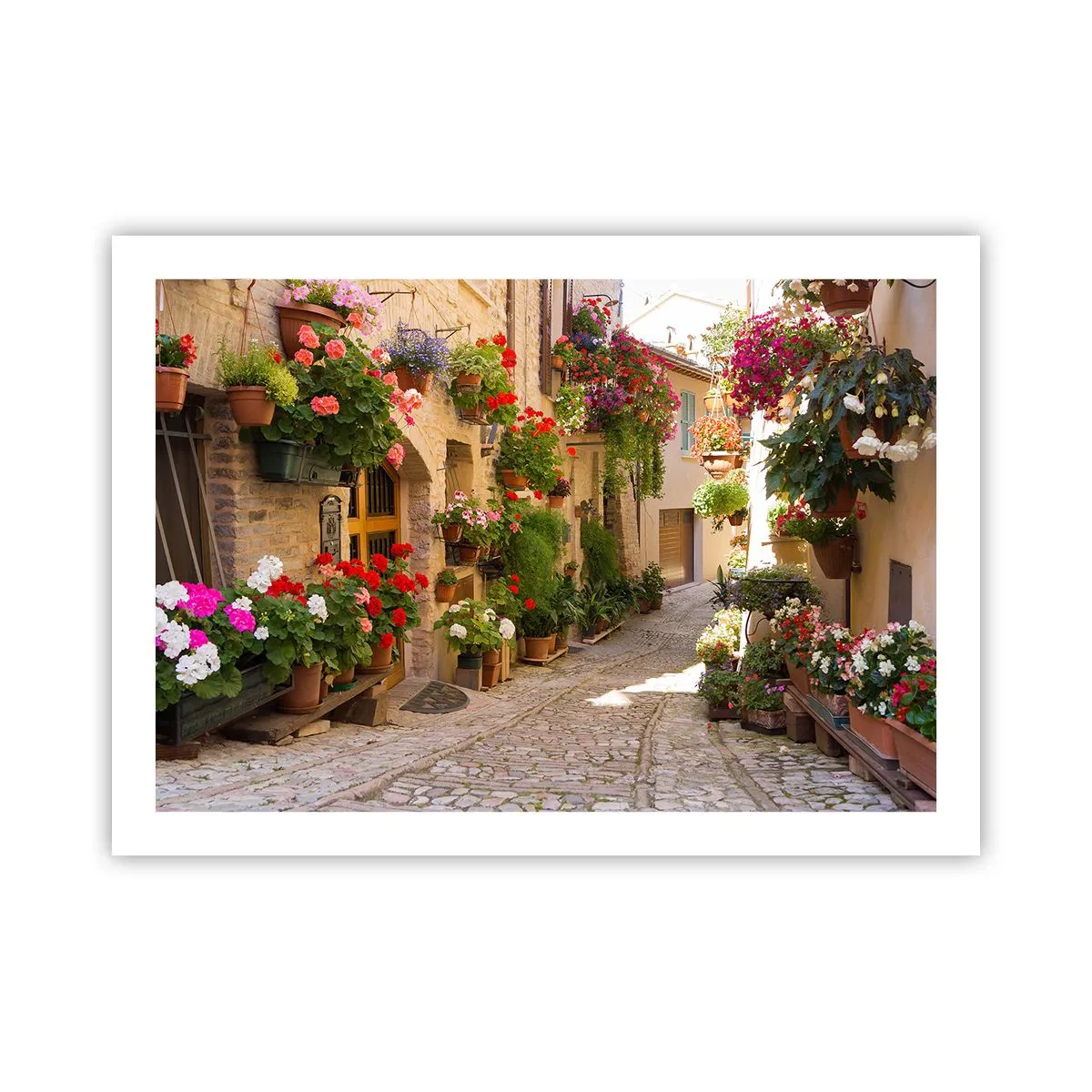 Affiche - Poster - Une inondation de fleurs - 70x50 cm