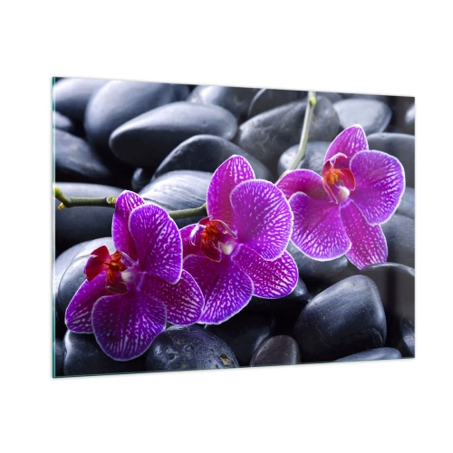 Impression sur verre - Image sur verre - Orchidées violettes sur fond de pierres lisses - 100x70cm - Les pierres brillaient de joie - Décoration murale moderne pour le salon et la chambre ARTTOR