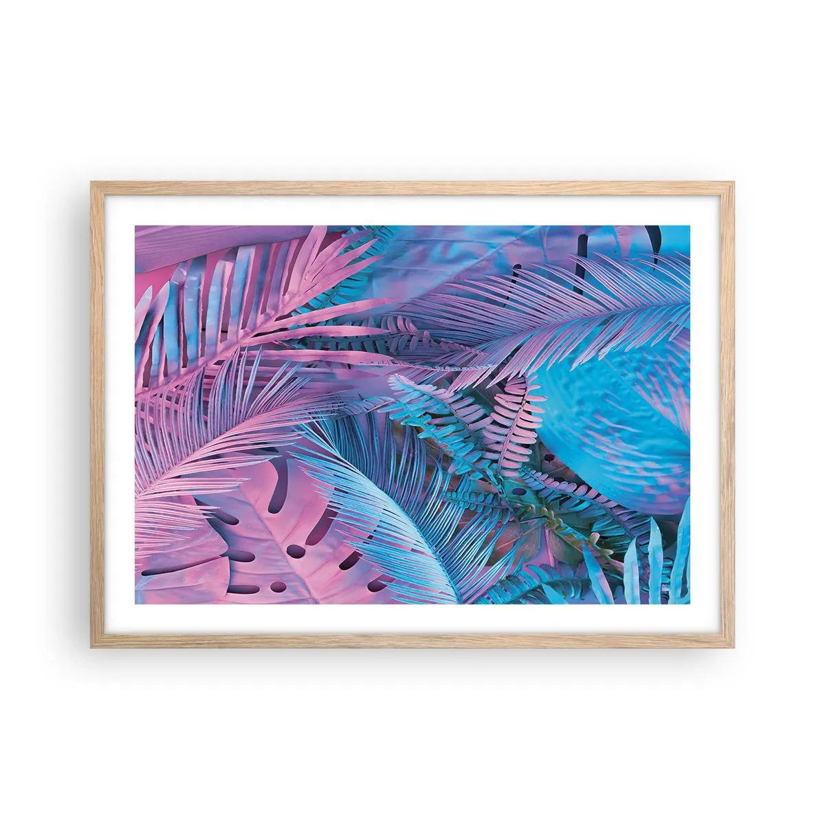 Affiche dans un chêne clair - Poster - Les tropiques en rose et bleu - 70x50 cm