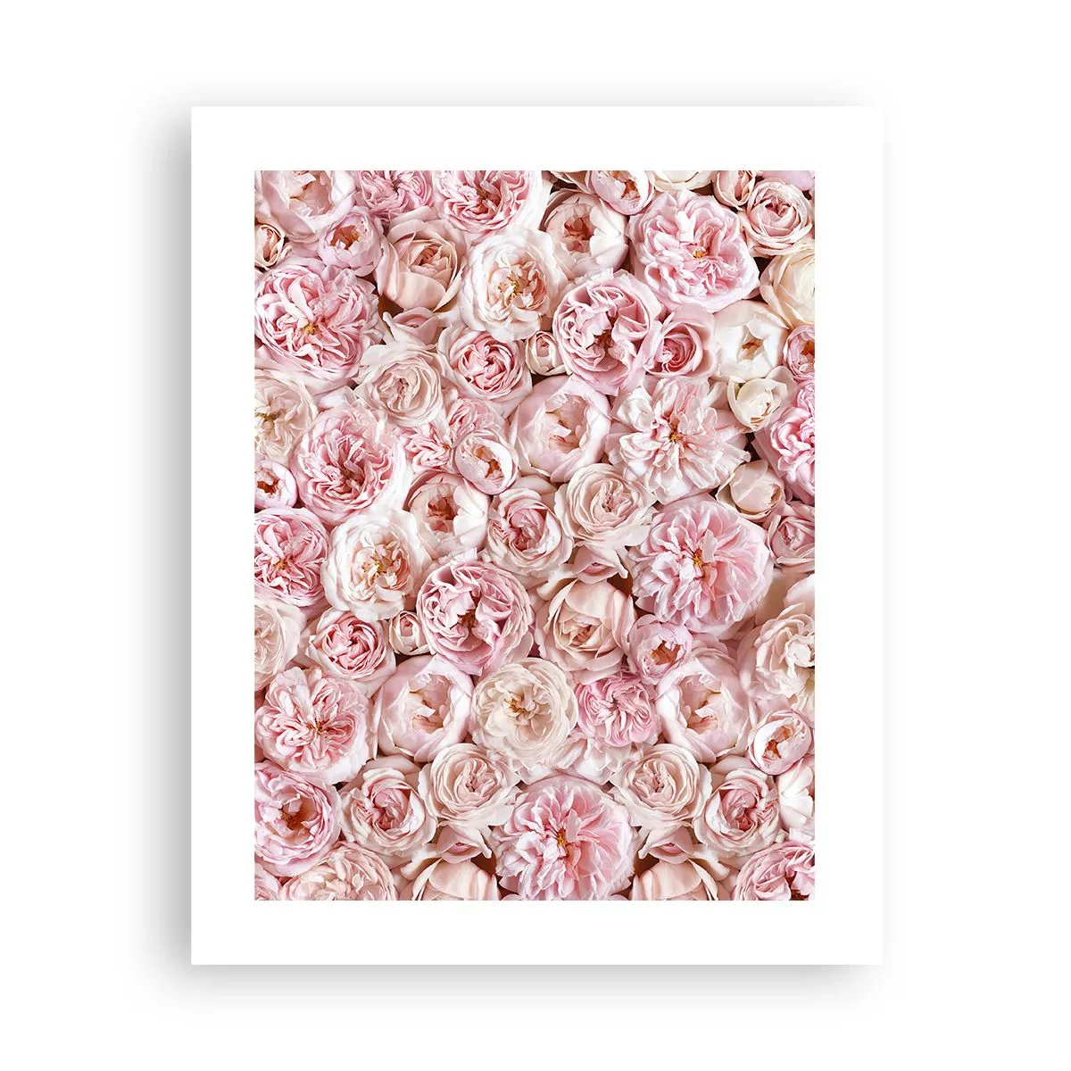 Affiche - Poster - Un lit de roses - 40x50 cm