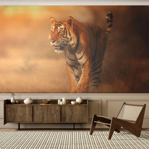 Papier Peint Photo Premium Sand - Tigre dans la lumière dorée de la savane - 100x70cm - Avant l'attaque - Décoration murale moderne pour le salon et la chambre ARTTOR