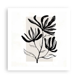 Affiche - Poster - Esquisse pour l'herbier - 60x60 cm