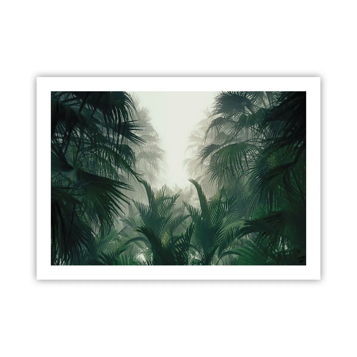 Affiche - Poster - Secret tropical - 70x50 cm