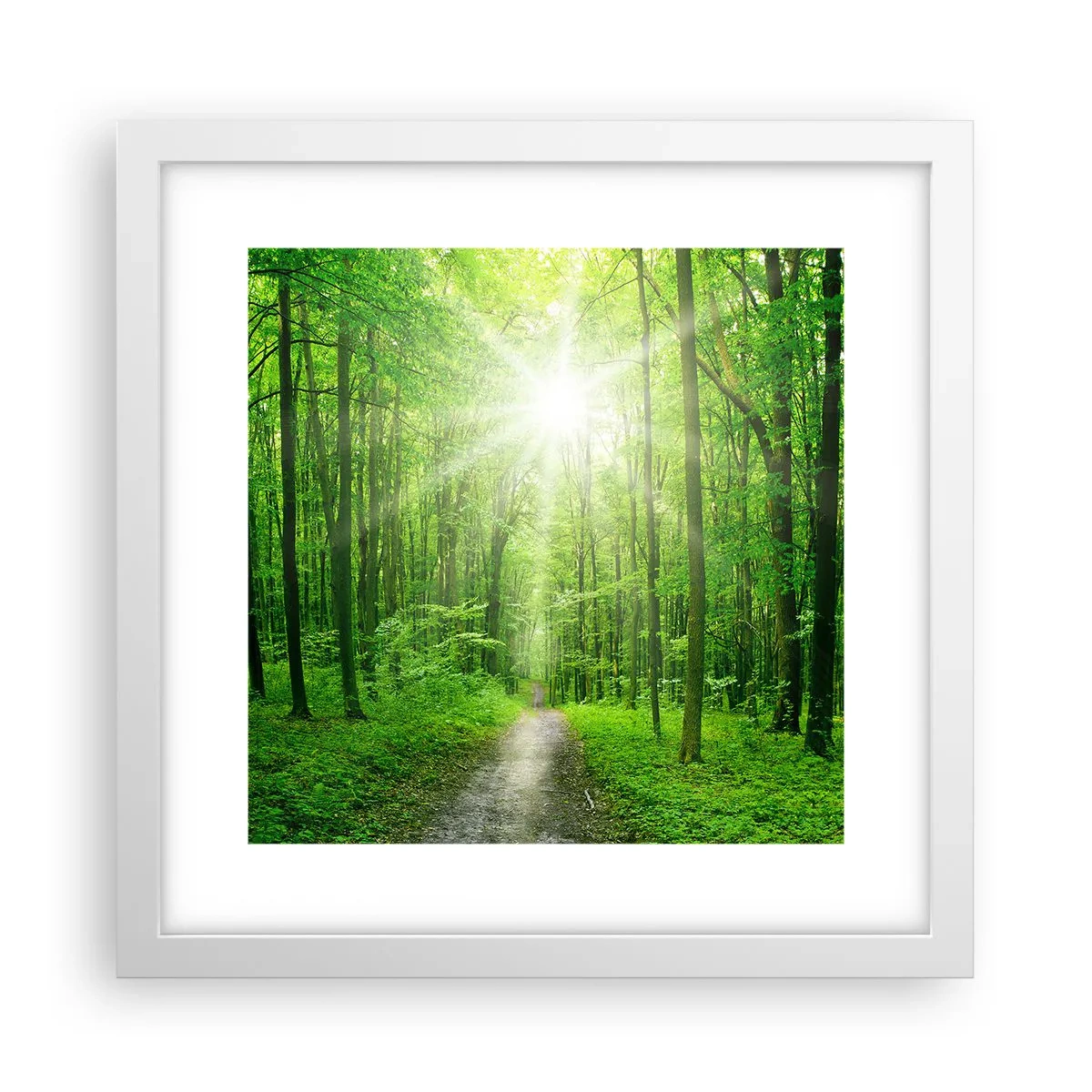 Affiche dans un cadre blanc - Poster - Cathédrale verte - 30x30 cm