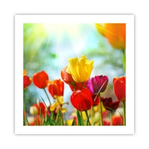 Affiche - Poster - Toutes les couleurs du soleil - 50x50 cm