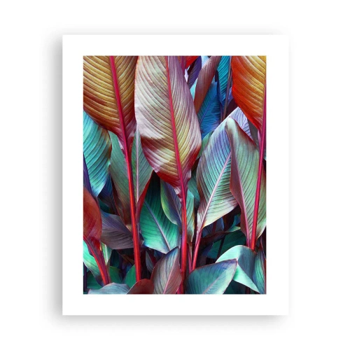 Affiche - Poster - Un fourré coloré - 40x50 cm