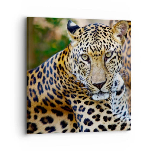 Impression sur toile - Image sur toile - Sauvage et calme - 30x30 cm