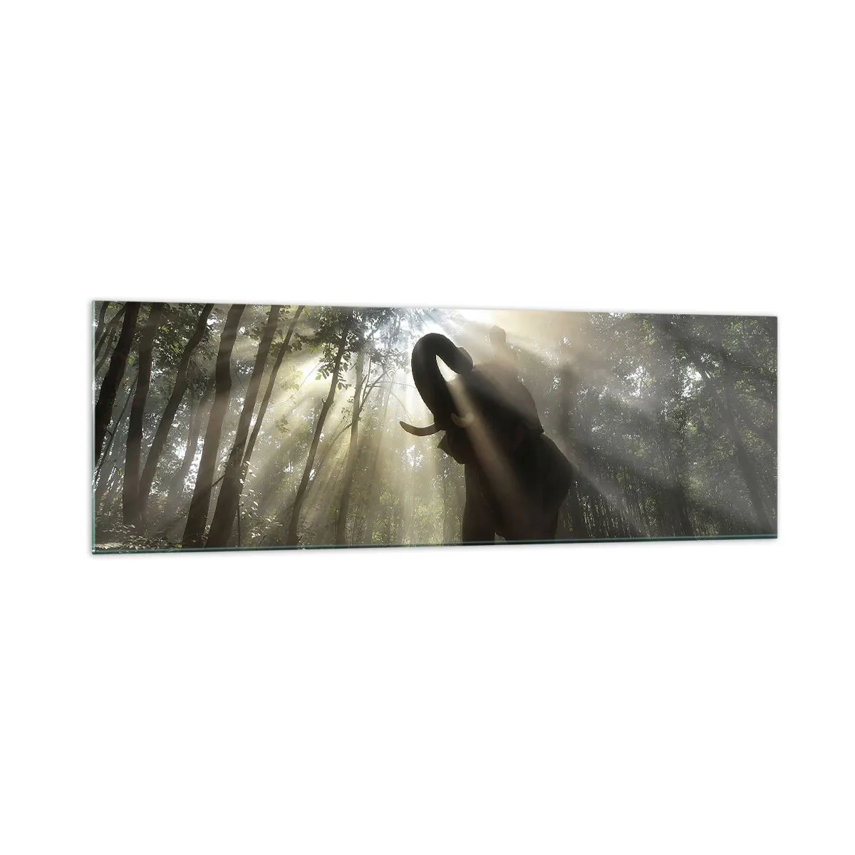 Impression sur verre - Image sur verre - Un éléphant dans la forêt entouré de rayons de lumière dans la brume matinale - 160x50cm - Sous la bonne étoile - Décoration murale moderne pour le salon et la chambre ARTTOR