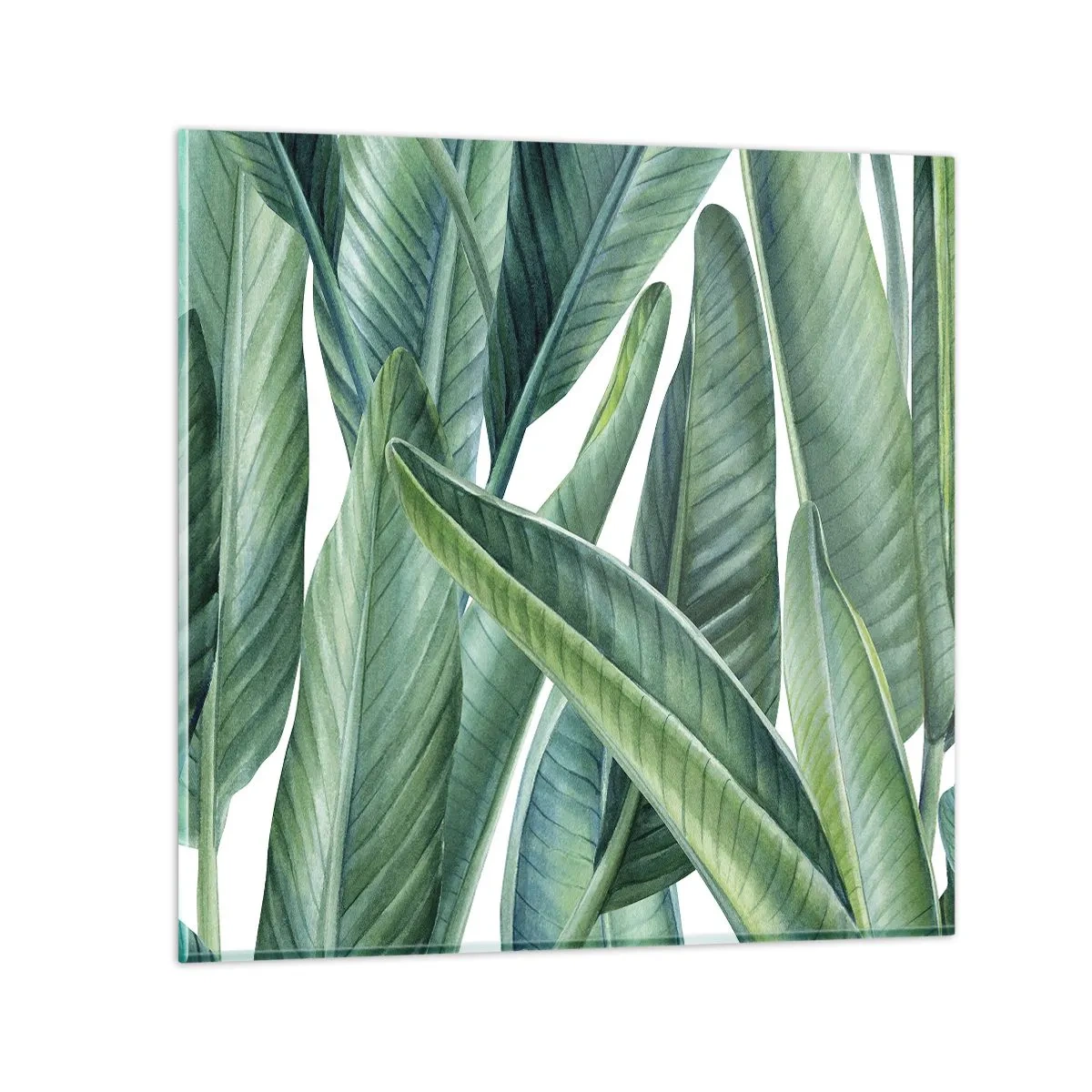 Impression sur verre - Image sur verre - La nature face à elle-même - 40x40 cm