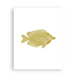 Affiche - Poster - Du poisson et c'est tout - 40x50 cm