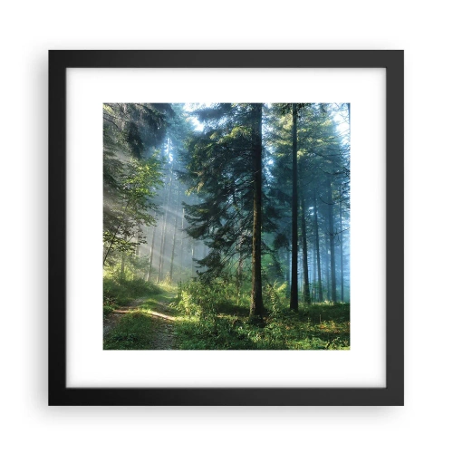 Affiche dans un cadre noir - Poster - Rayonnant le matin - 30x30 cm