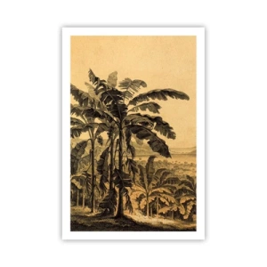 Affiche - Poster - Dans un climat colonial - 61x91 cm