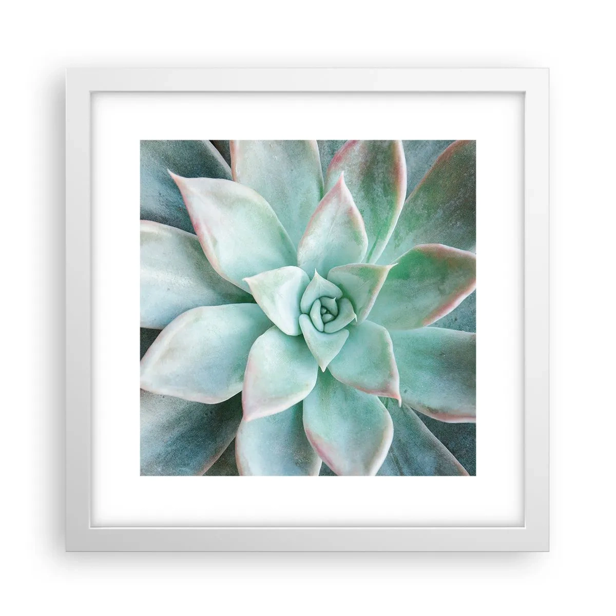 Affiche dans un cadre blanc - Poster - Le coeur du désert - 30x30 cm