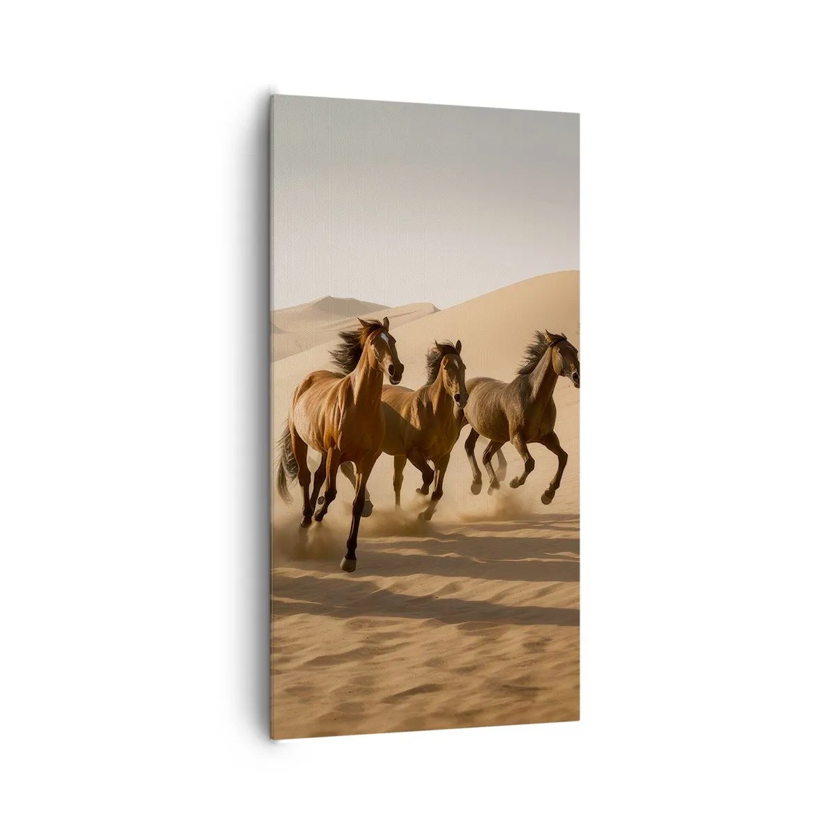 Impression sur toile - Image sur toile - Libre comme le vent - 65x120 cm