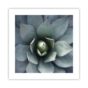 Affiche - Poster - Wabi et observe - 40x40 cm
